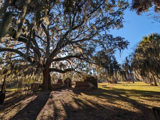 Colonial Park Cemetery on Black Friday, November 24, 2023.