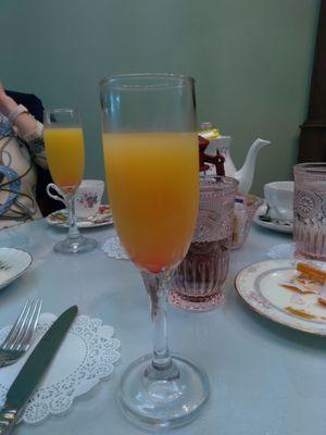 Mimosa