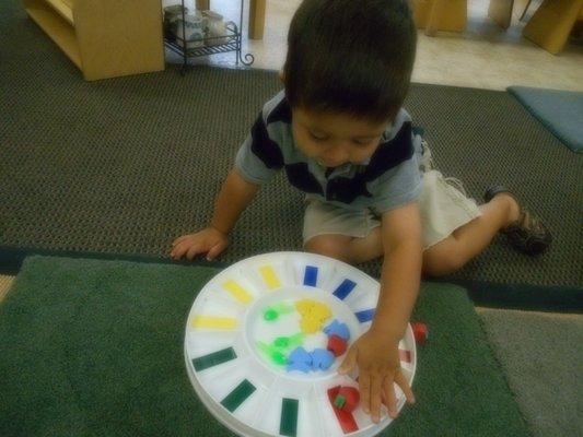 A toddler child sorts objects by color.