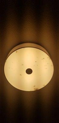 Roaches in dining room light