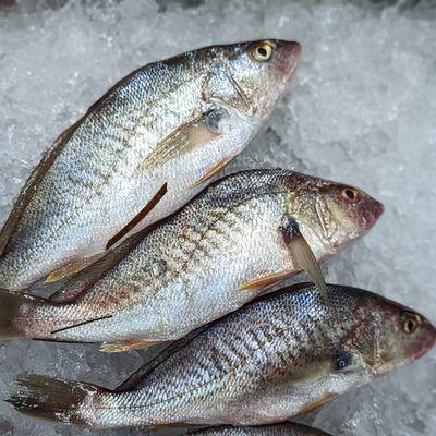 Fish Market featuring local favorites and in season specialties.