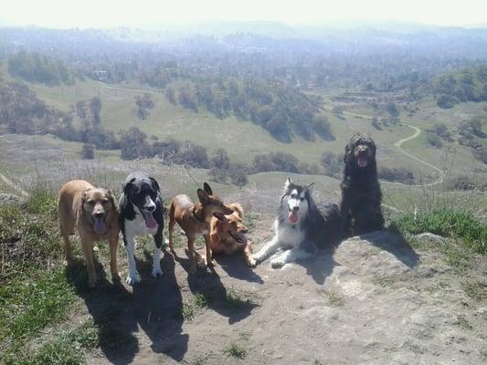 Top of Shell Ridge!