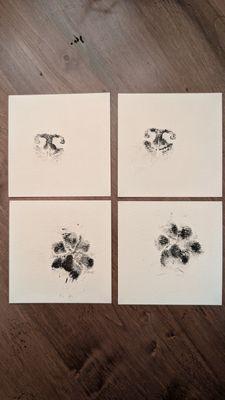 We offer paw and nose prints done by our incredible team! Usually, we can get them done and leave them with you the same day.