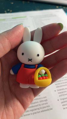 Miffy Doing Things Blind Box Figure