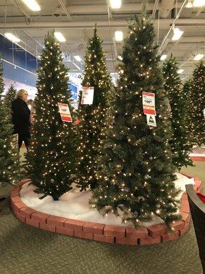 Large selection of Christmas Trees!