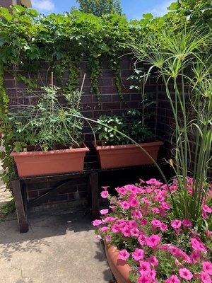 Enjoy both upper and lower patios complete with flower and vegetable containers.