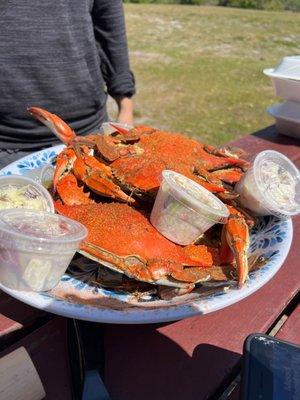 Blue crabs!