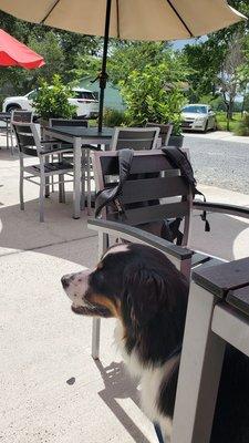 Lunchtime on a very hot sunny day - dog friendly patio near front entrance.