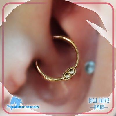 14k Yellow Gold w/ Peanut Set Sapphires by Local Natives - Daith - Piercing by Lucina