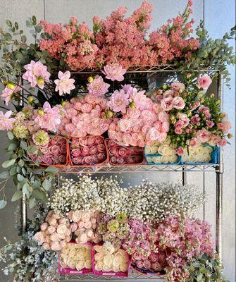 Blooming Pinks   Amazed by the beautiful garden roses & spray roses we have been getting in and so happy to see rice flowers & dahlias!