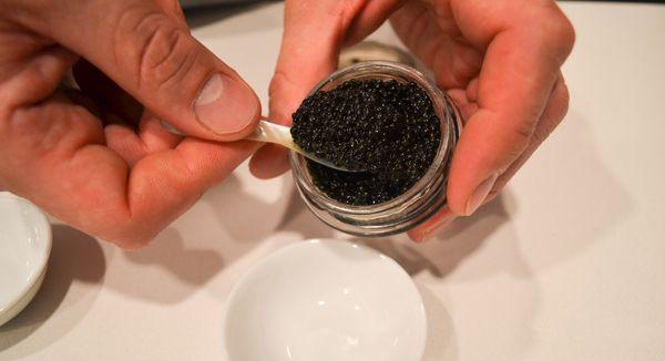 Caviar Offerings