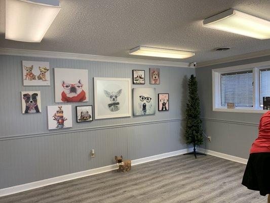 Front reception area with plenty of roaming space for all the customer's pets to get acquainted with each other and the groomers if needed.