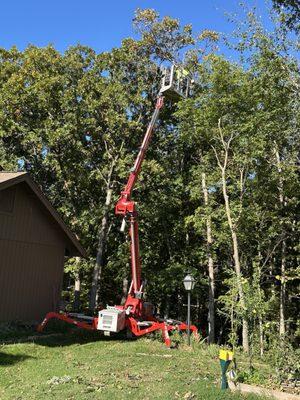 Brock's Tree Service