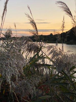 Behind the The Ice Cream Shop & on the side Hidden from view is The Sunset on The Lee River @ Somerset Creamery in Swansea MA Fall of 2020