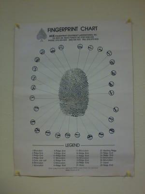 Fingerprint Chart