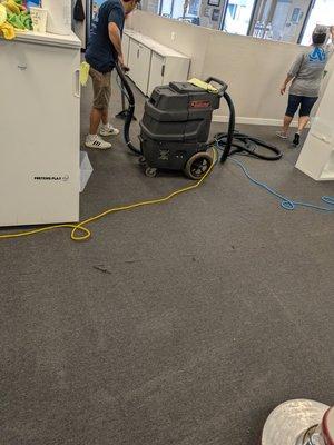 Steam carpet care