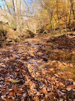 Small creek along trail