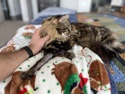 Loves neck rubs