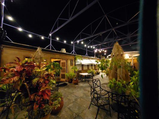 Live plants in the rooftop patio