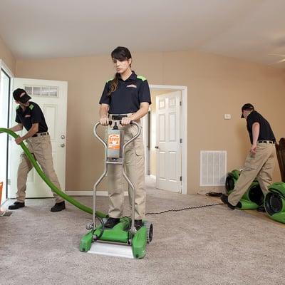 Cleaning Services for Carpet & Upholstery