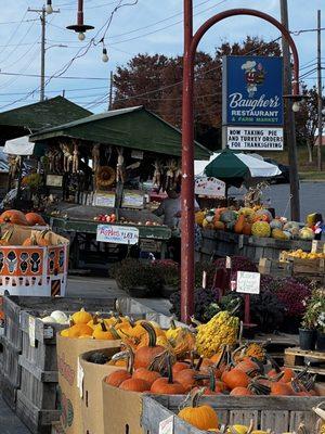 Get Your Apple Cider at the market