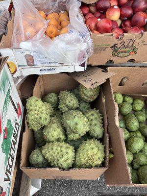 Soursop and Cherimoya