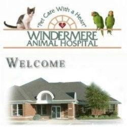 Windermere Animal Hospital