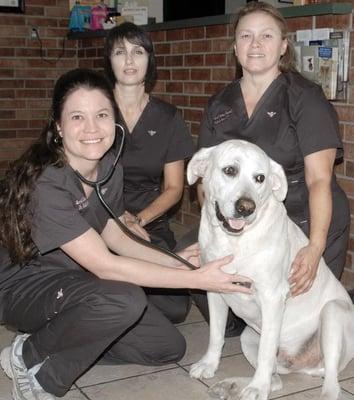 Sewell Animal Hospital