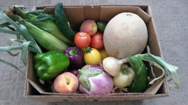 Beautiful fresh Colorado produce