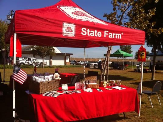 Safety Fair Booth - Laureen Yungmeyer