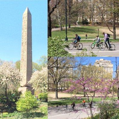 The Obelisk  Central Park Bicycle Tour  - Tour Stop
  
  #centralparkbicycles  www.centralparkbicycles.com