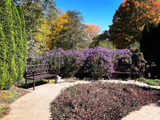 Fall splendor at the gardens.