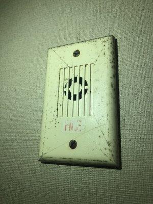 Mold on the fire alarm