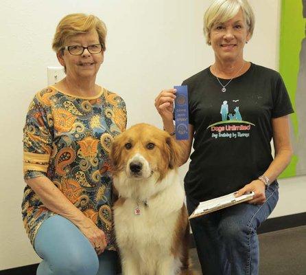 Canine Good Citizen Award Testing