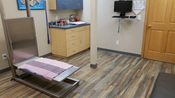 Comfortable large exam room for big dogs and multi-pet visits!