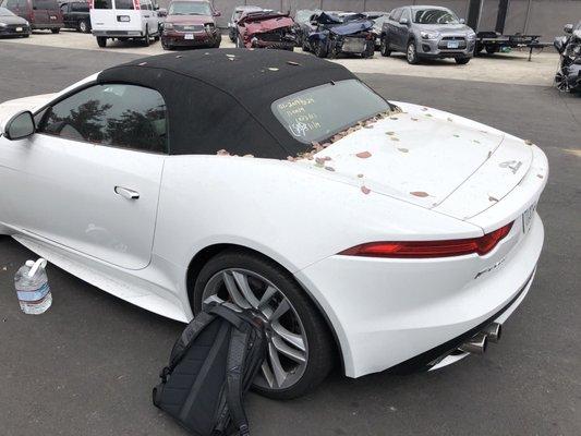 FType at impound