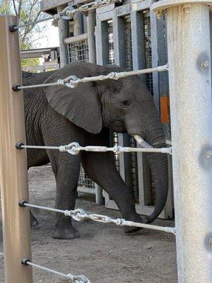 Walking in for some TREATMENT.