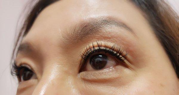 Natural volume lashes