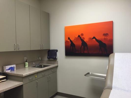 Our fun, safari-themed exam room!