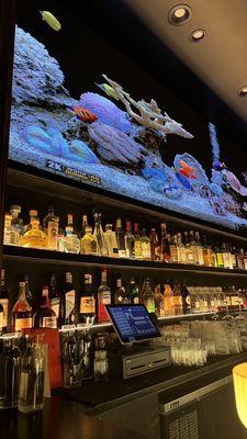 Giant digital aquarium above bar