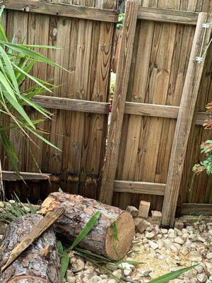 Part of 9 ft log that busted fence