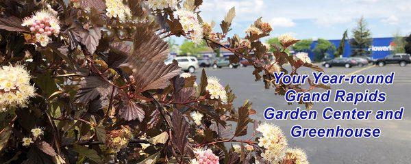 Flowerland ... Your year-round, local greenhouse and garden center!