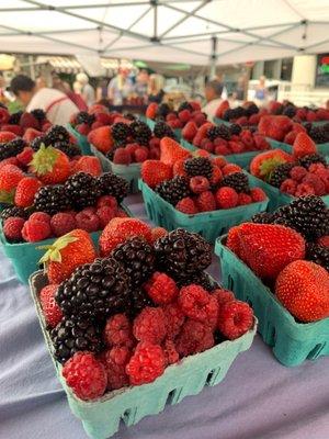 Eugene Saturday Market