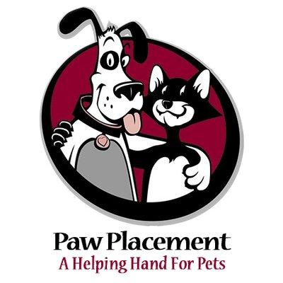 Paw Placement: A Helping Hand for Pets