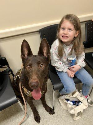 Happy pup at the vet