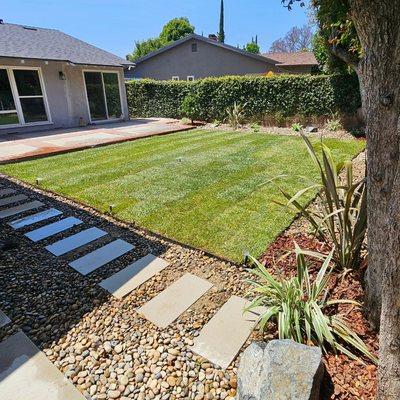 New grass, and prefab concrete stepping stones!