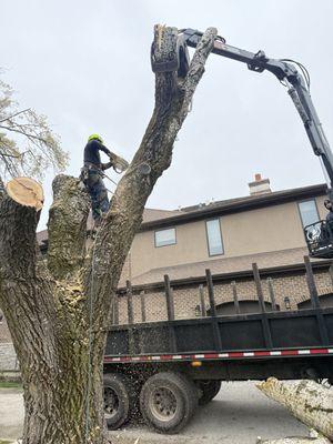 Neighbor Tree Service