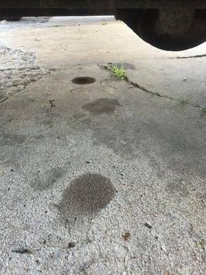 A puddle for each day since the oil change. Never a drop before. Who's paying to fix this?