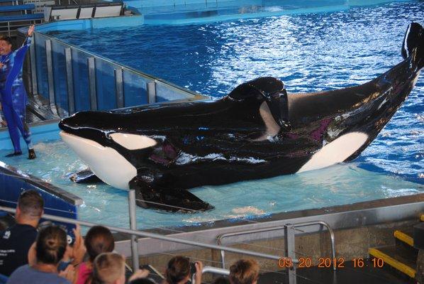 Fun day at Sea World,