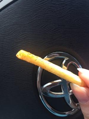 I found what, to me, appears to be a bug leg on my fry